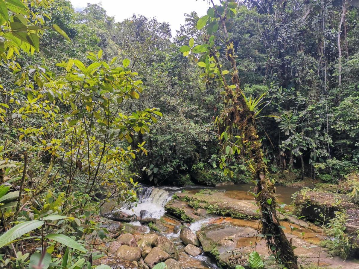 Posada Kauai Mocoa Екстериор снимка