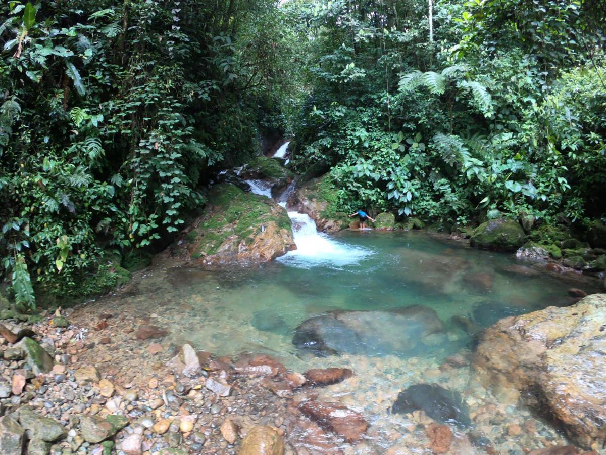 Posada Kauai Mocoa Екстериор снимка